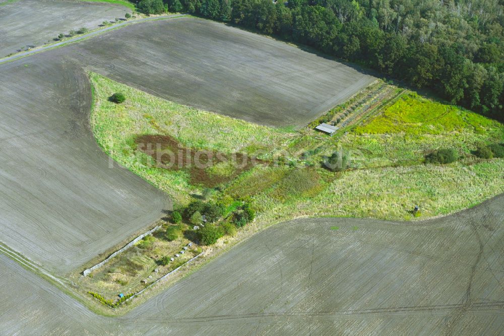 Grünewalde von oben - Soll Biotop in einem Feld in Grünewalde im Bundesland Brandenburg, Deutschland