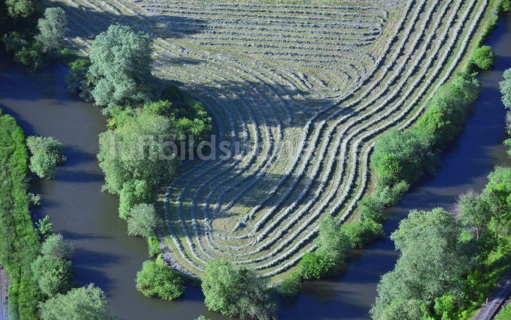 Luftbild Volksen - Sommerlich Gras - Reihen der Strohernte auf einem Feld bei Volksen am Ufer der Leine im Bundesland Niedersachsen