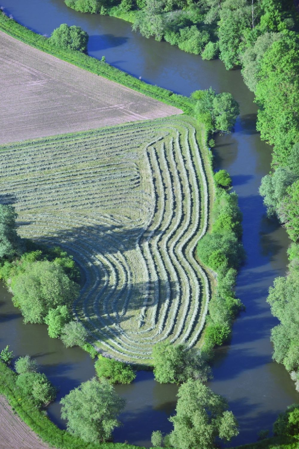 Luftaufnahme Volksen - Sommerlich Gras - Reihen der Strohernte auf einem Feld bei Volksen am Ufer der Leine im Bundesland Niedersachsen