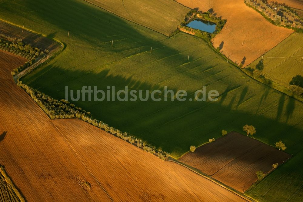 Luftaufnahme Monte San Savino - Sonnen- Untergang über der Feldlandschaft in Monte San Savino in Toscana, Italien