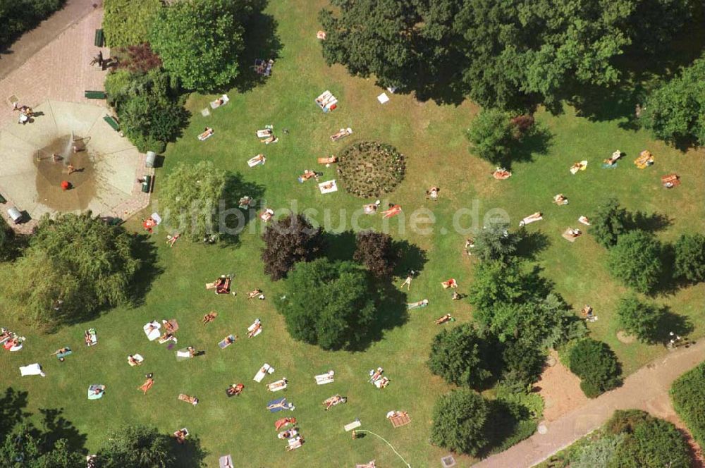 Luftbild Berlin - Sonnenbadende im Volkspark am Weinbergsweg im Stadtteil Prenzlauer Berg - Nähe Kastanienallee