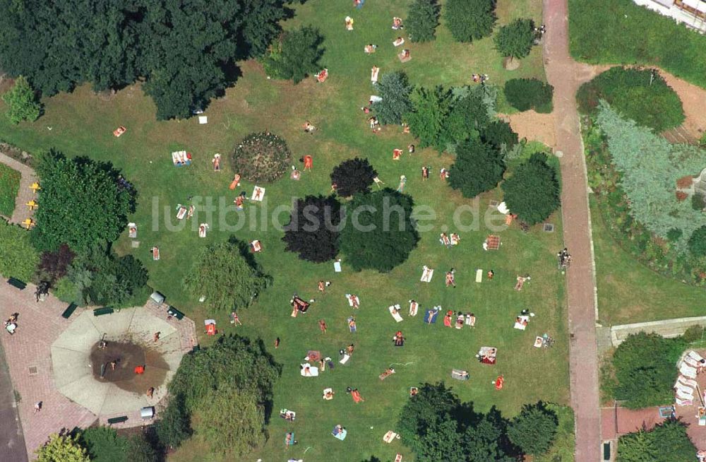 Luftaufnahme Berlin - Prenzlauer Berg - Sonnenbadende im Volkspark am Weinbergsweg im Stadtteil Prenzlauer Berg - Nähe Kastanienallee