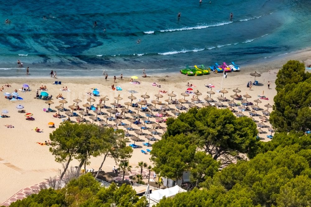 Badia de Palma aus der Vogelperspektive: Sonnenschirmreihen am Sand- Strand im Küstenbereich der Bucht in Peguera in Balearische Insel Mallorca, Spanien