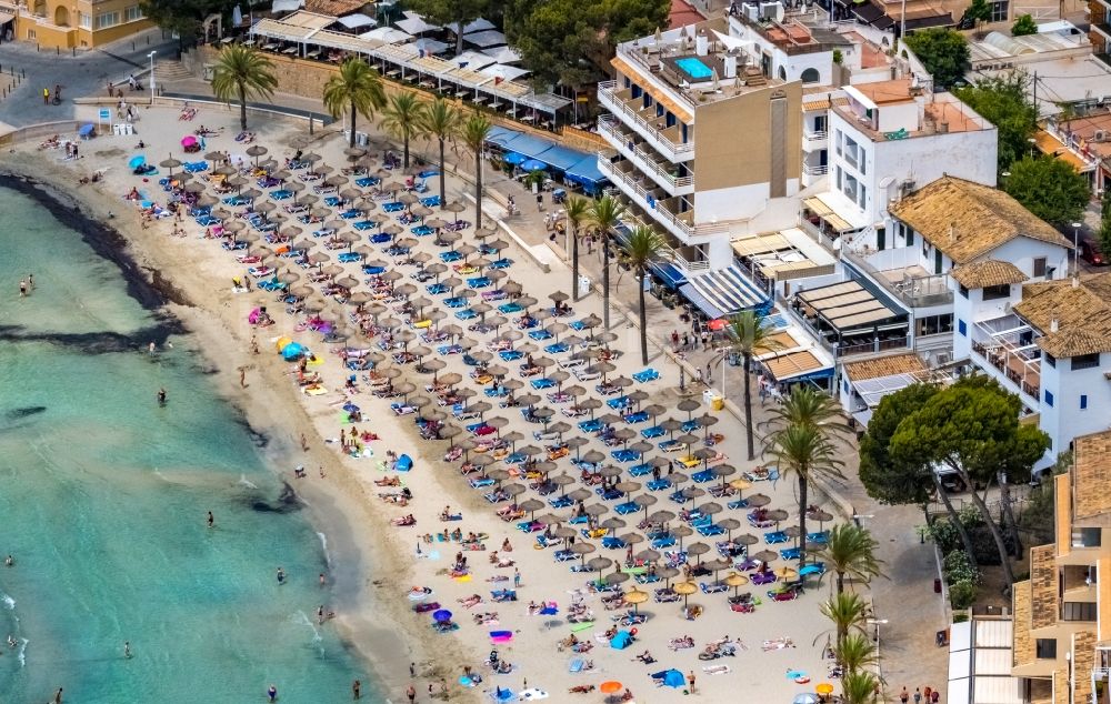 Luftaufnahme Badia de Palma - Sonnenschirmreihen am Sand- Strand im Küstenbereich der Bucht in Peguera in Balearische Insel Mallorca, Spanien