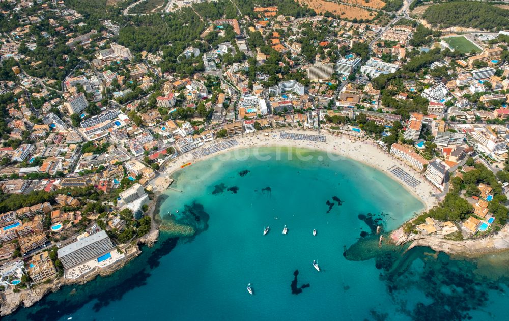 Luftbild Peguera - Sonnenschirmreihen am Sand- Strand im Küstenbereich des Platja Palmira entlang der Promenade des Bulevar de Peguera in Peguera in Balearische Insel Mallorca, Spanien