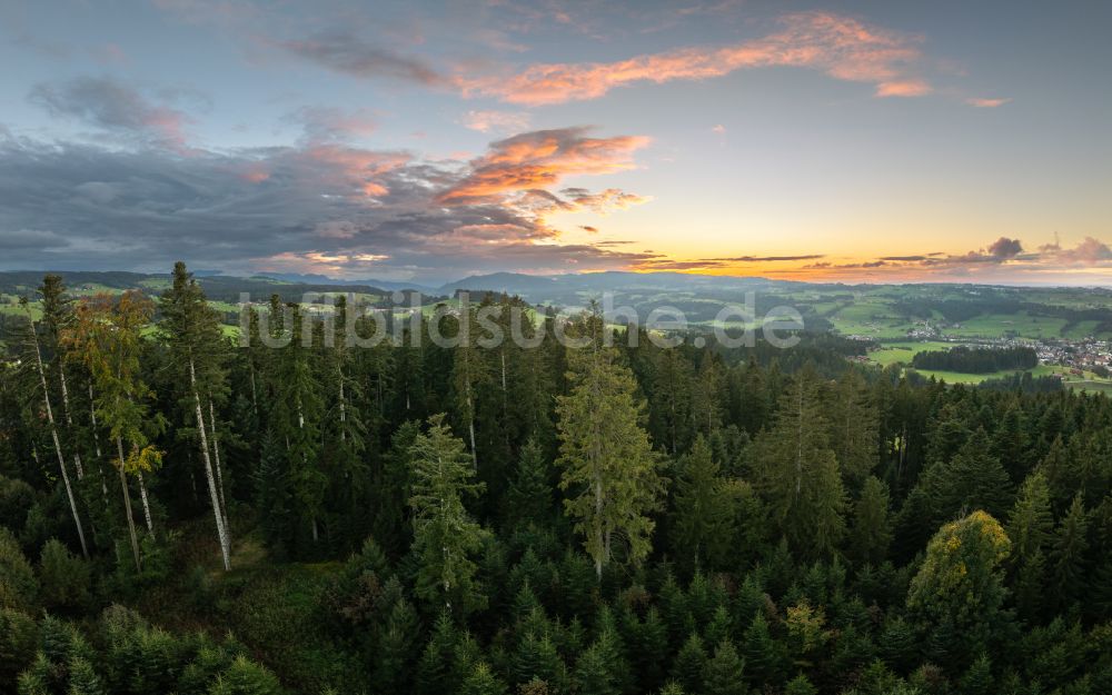 Langenried aus der Vogelperspektive: Sonnenuntergang über Wald- und Wiesenlandschaft in Langenried im Bundesland Bayern, Deutschland