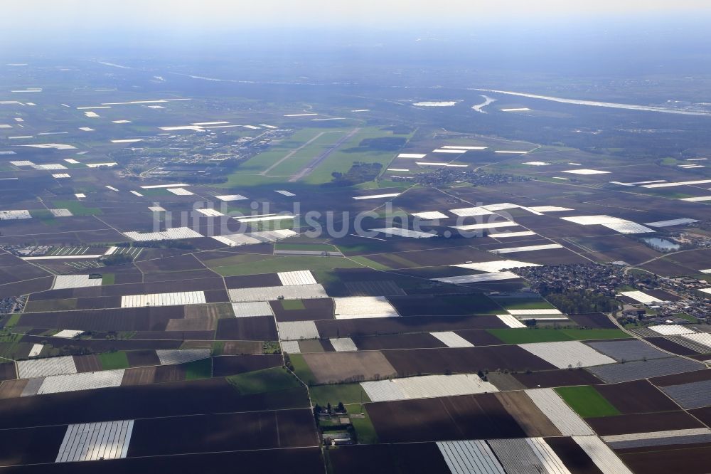 Luftbild Bad Krozingen - Spargel- Anbau auf Feld- Flächen in Bad Krozingen im Bundesland Baden-Württemberg