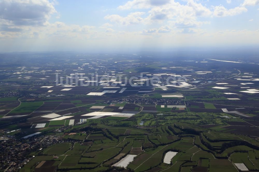 Luftaufnahme Bad Krozingen - Spargel- Anbau auf Feld- Flächen bei Bad Krozingen im Bundesland Baden-Württemberg