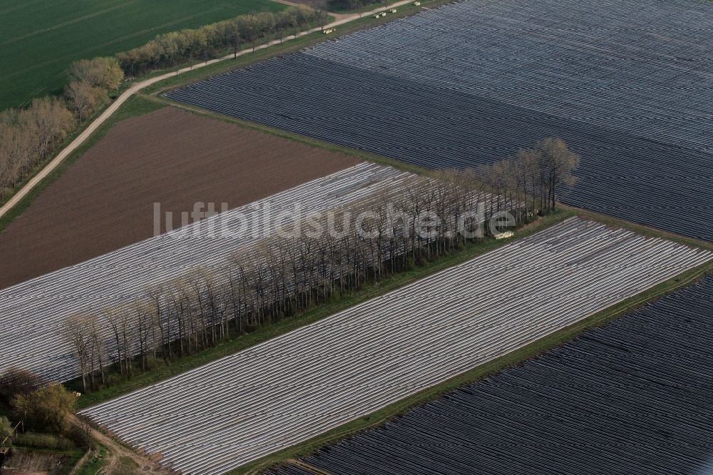 Luftaufnahme Herbsleben - Spargel- Ernte auf einem Feld bei Herbsleben in Thüringen