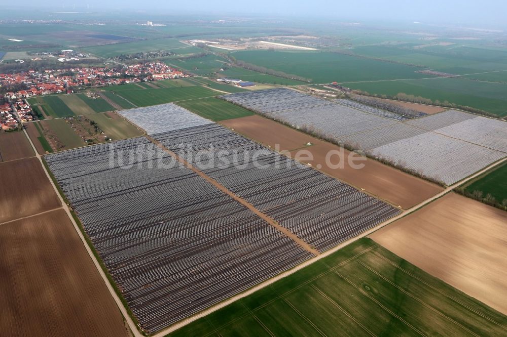 Luftbild Herbsleben - Spargel- Ernte auf einem Feld bei Herbsleben in Thüringen