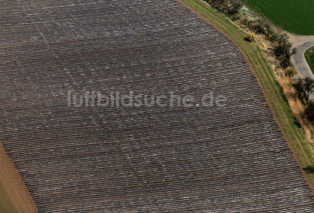 Luftbild Herbsleben - Spargel- Ernte auf einem Feld bei Herbsleben in Thüringen