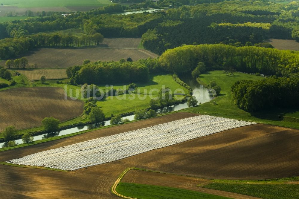 Datteln von oben - Spargelernte auf einem Spargelfeld bei Datteln im Bundesland Nordrhein-Westfalen NRW