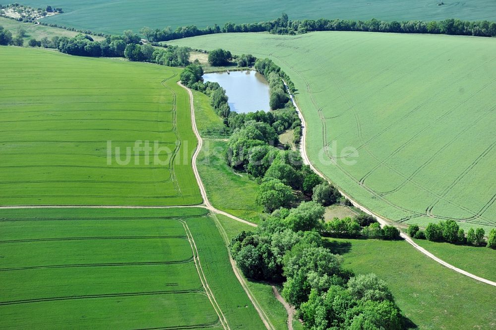 Luftaufnahme Elleben - Speichersee bei Elleben in Thüringen