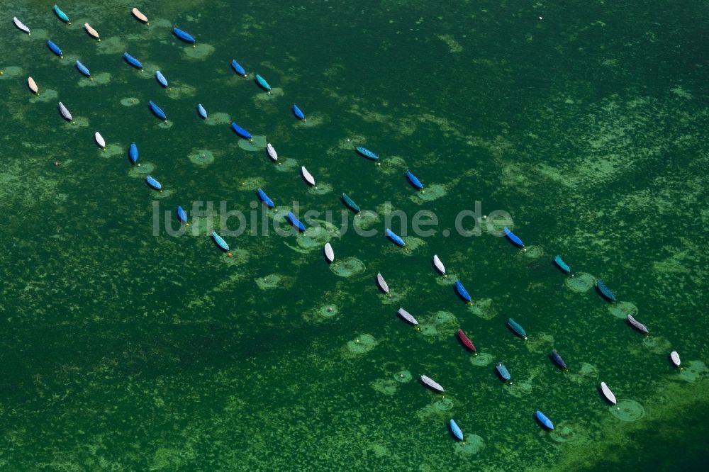 Radolfzell am Bodensee von oben - Sportboot- Anlegestelle am Uferbereich in Radolfzell am Bodensee im Bundesland Baden-Württemberg, Deutschland