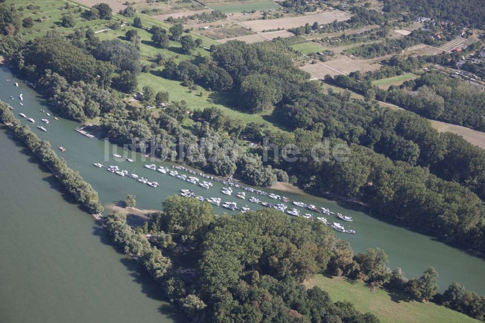 Budenheim aus der Vogelperspektive: Sportboot- Anlegestellen und Bootsliegeplätze am Uferbereich des Rheins in Budenheim im Bundesland Rheinland-Pfalz