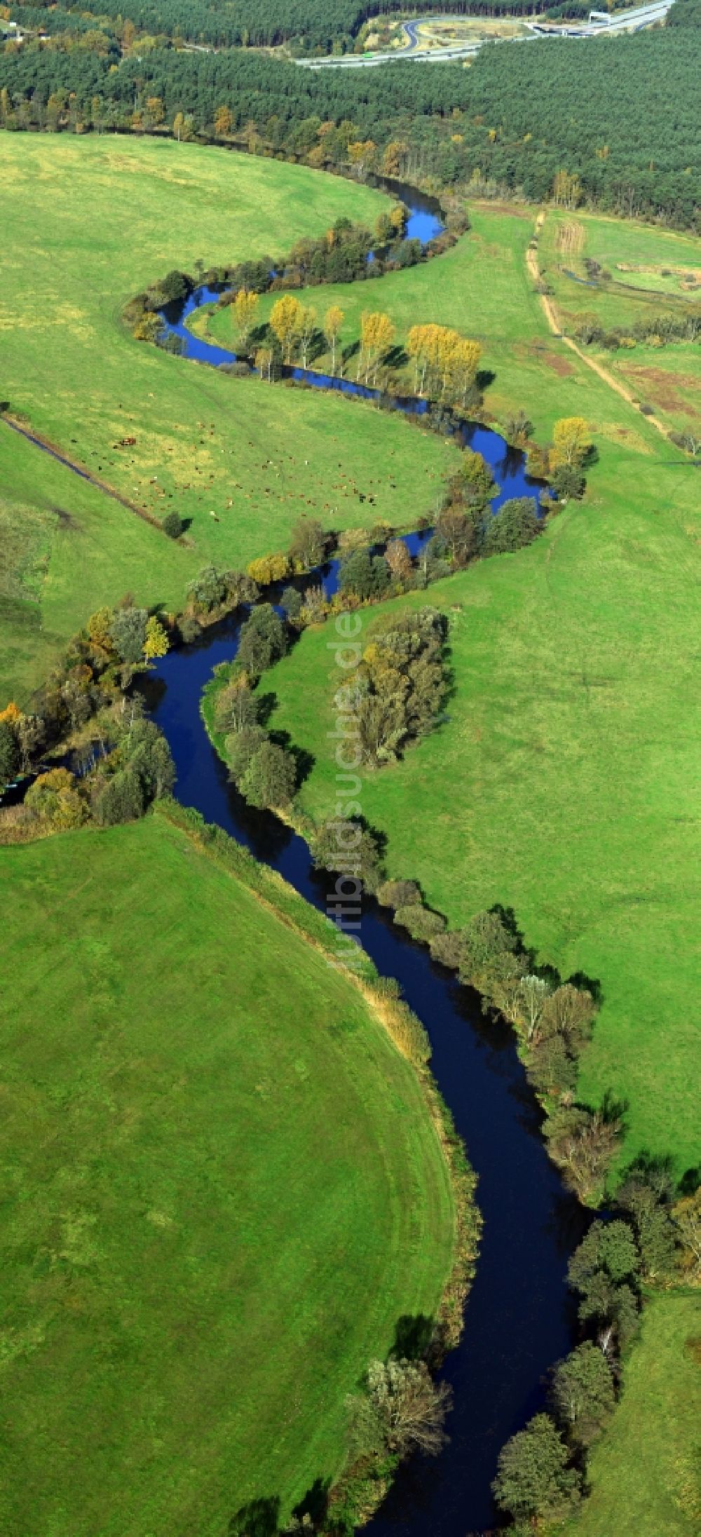 Luftbild Freienbrink - Spreeverlauf auf Wiesen - Landschaft bei Freienbrink im Bundesland Brandenburg