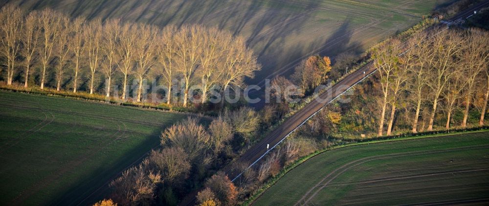 Luftaufnahme Werneuchen - Spätherbst- Landschaft entlang der Feld- und Baumreihen an der Eisenbahnverbindung am Stadtrand von Werneuchen im Bundesland Brandenburg