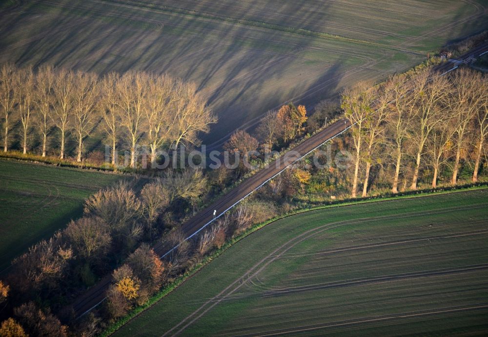 Werneuchen von oben - Spätherbst- Landschaft entlang der Feld- und Baumreihen an der Eisenbahnverbindung am Stadtrand von Werneuchen im Bundesland Brandenburg