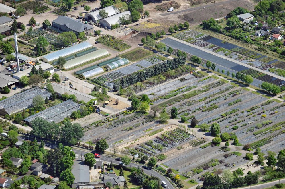 Berlin von oben - Späthsche Baumschule in Berlin-Baumschulenweg