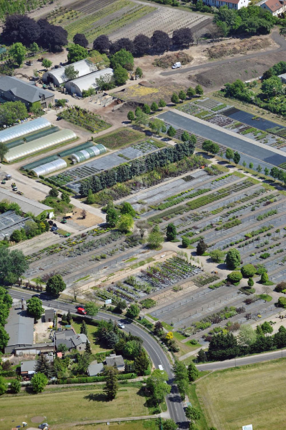 Berlin aus der Vogelperspektive: Späthsche Baumschule in Berlin-Baumschulenweg