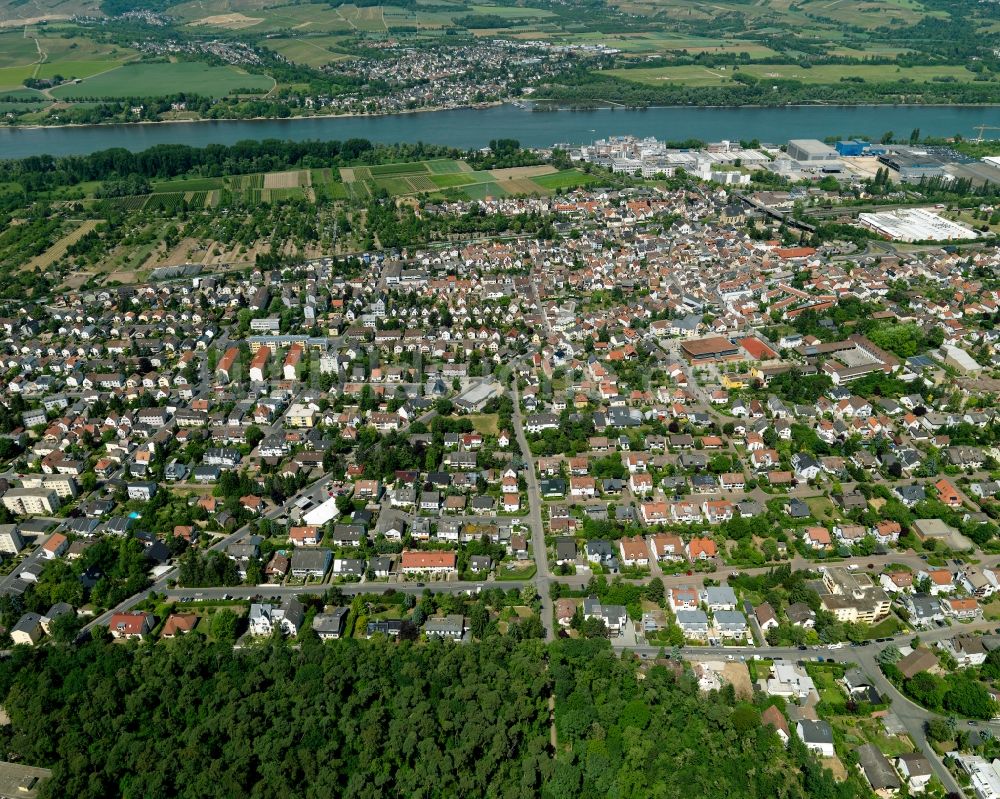 Budenheim aus der Vogelperspektive: Stadtansicht von Budenheim im Bundesland Rheinland-Pfalz