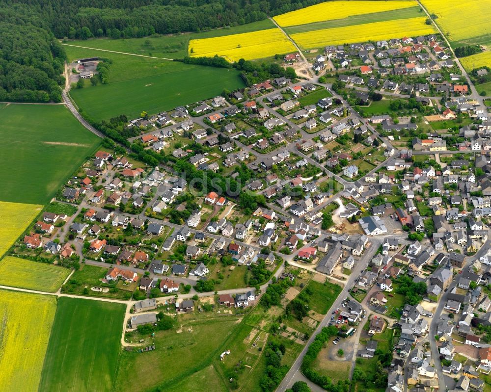 Dachsenhausen aus der Vogelperspektive: Stadtansicht von Dachsenhausen im Bundesland Rheinland-Pfalz