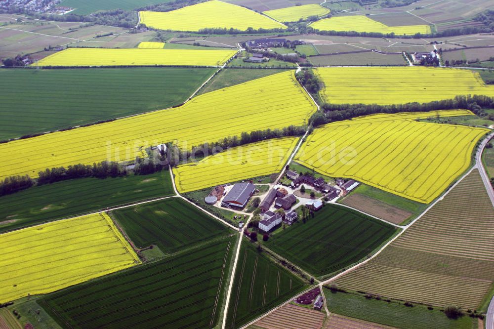 Eltville aus der Vogelperspektive: Stadtansicht Eltville am Rhein