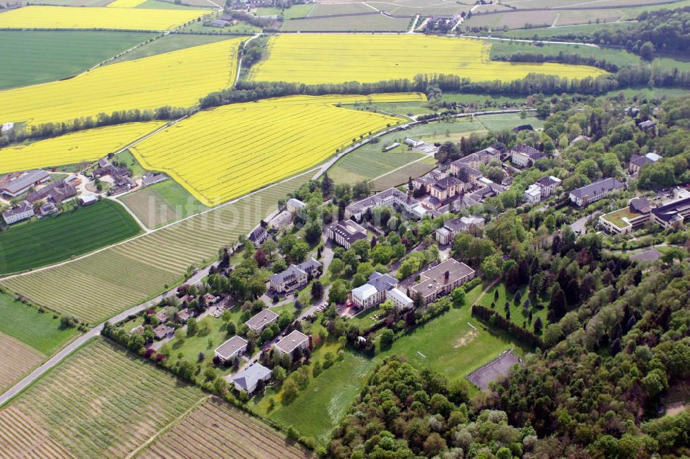 Luftbild Eltville - Stadtansicht Eltville am Rhein