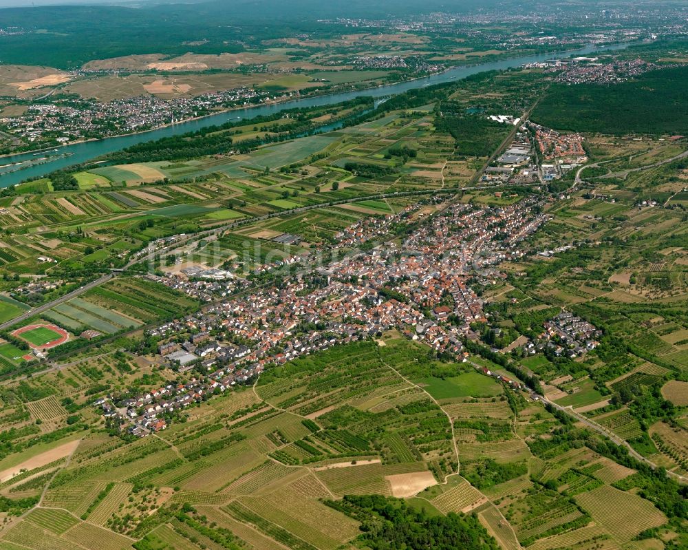 Luftaufnahme Heidesheim am Rhein - Stadtansicht von Heidesheim am Rhein im Bundesland Rheinland-Pfalz