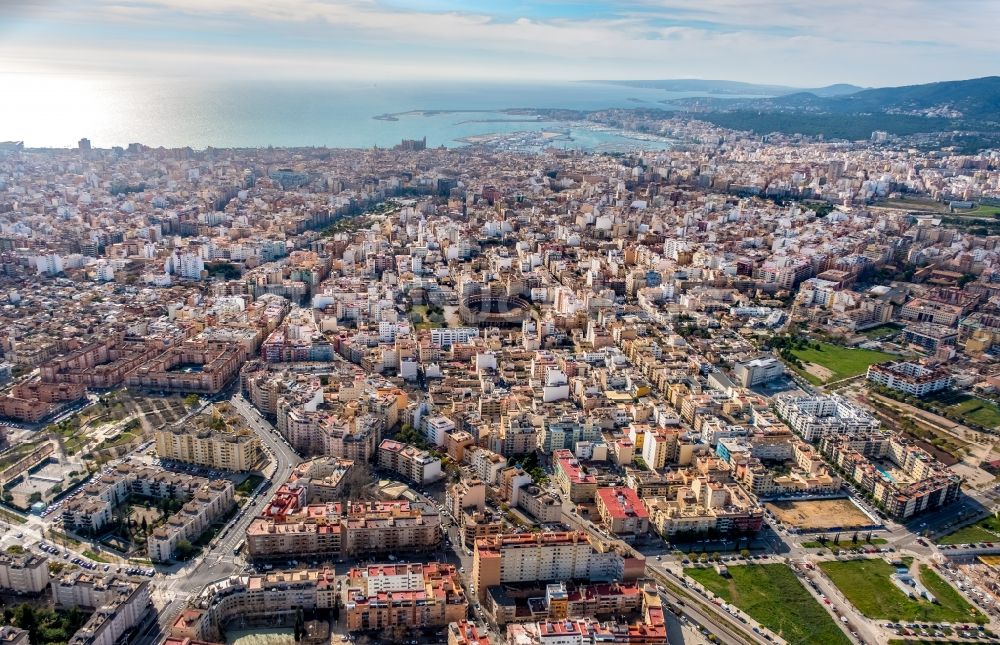 Luftaufnahme Palma - Stadtansicht der Innenstadt am Küstenbereich in Palma in Balearische Insel Mallorca, Spanien