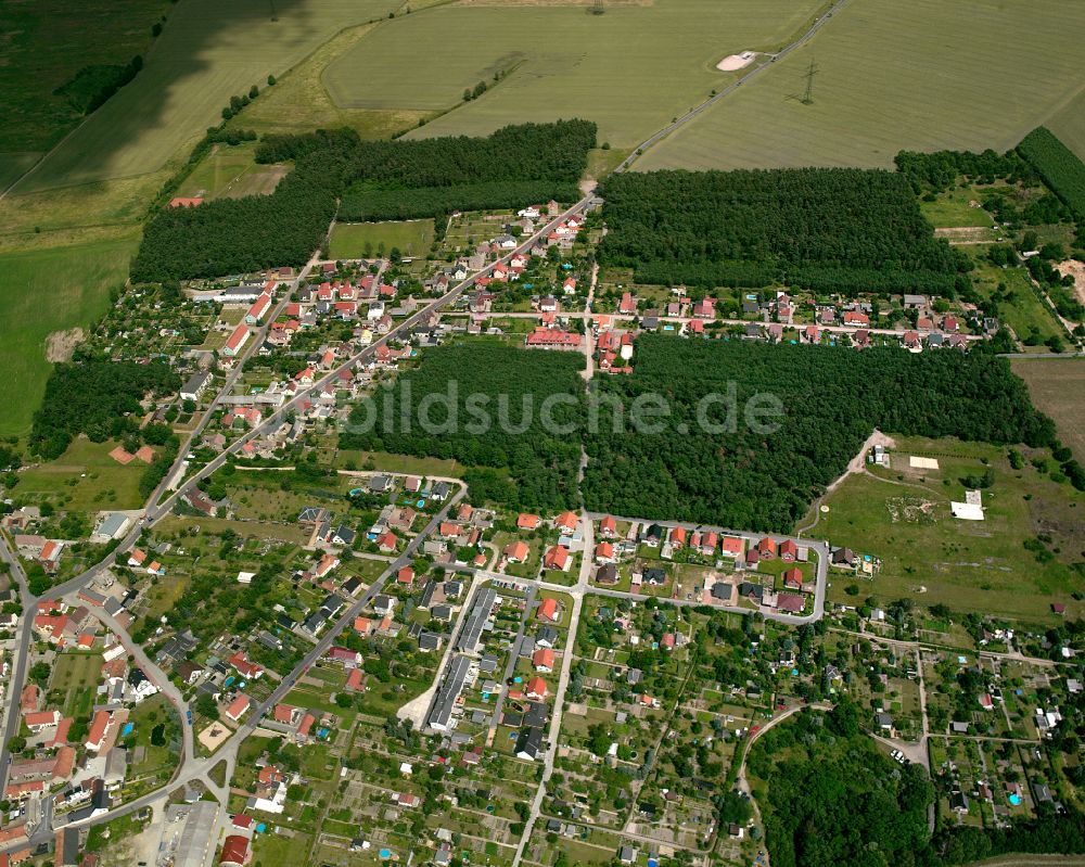 Luftbild Frauenhain - Stadtansicht vom Innenstadtbereich in Frauenhain im Bundesland Sachsen, Deutschland