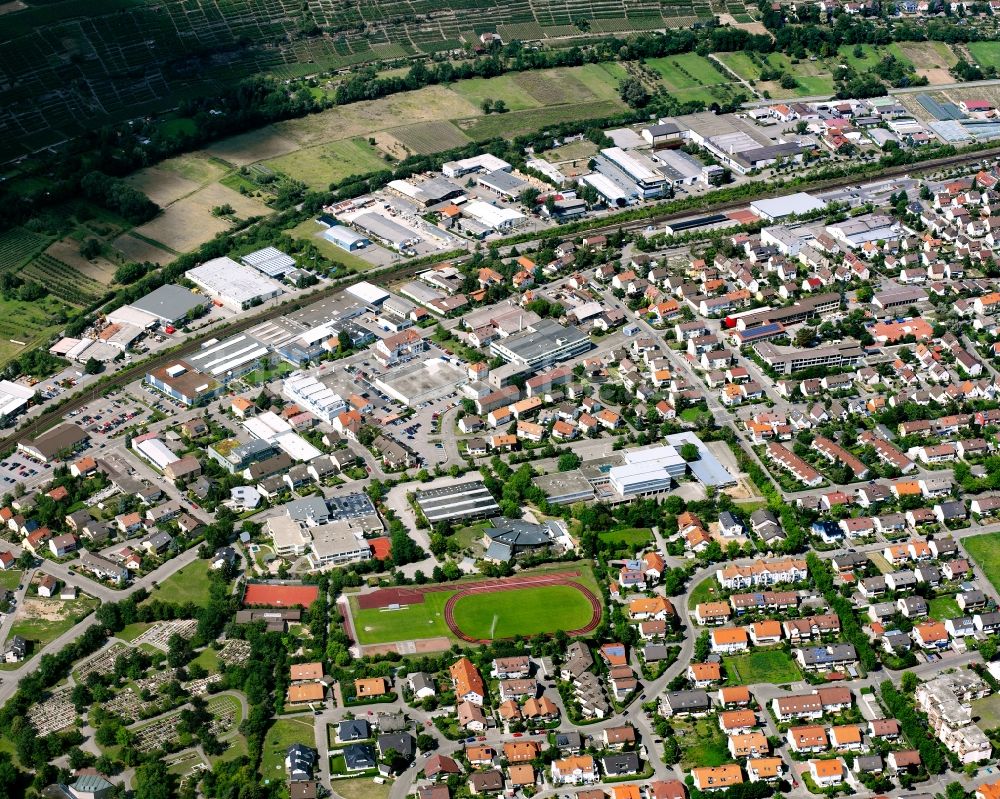 Lauffen am Neckar von oben - Stadtansicht vom Innenstadtbereich in Lauffen am Neckar im Bundesland Baden-Württemberg, Deutschland