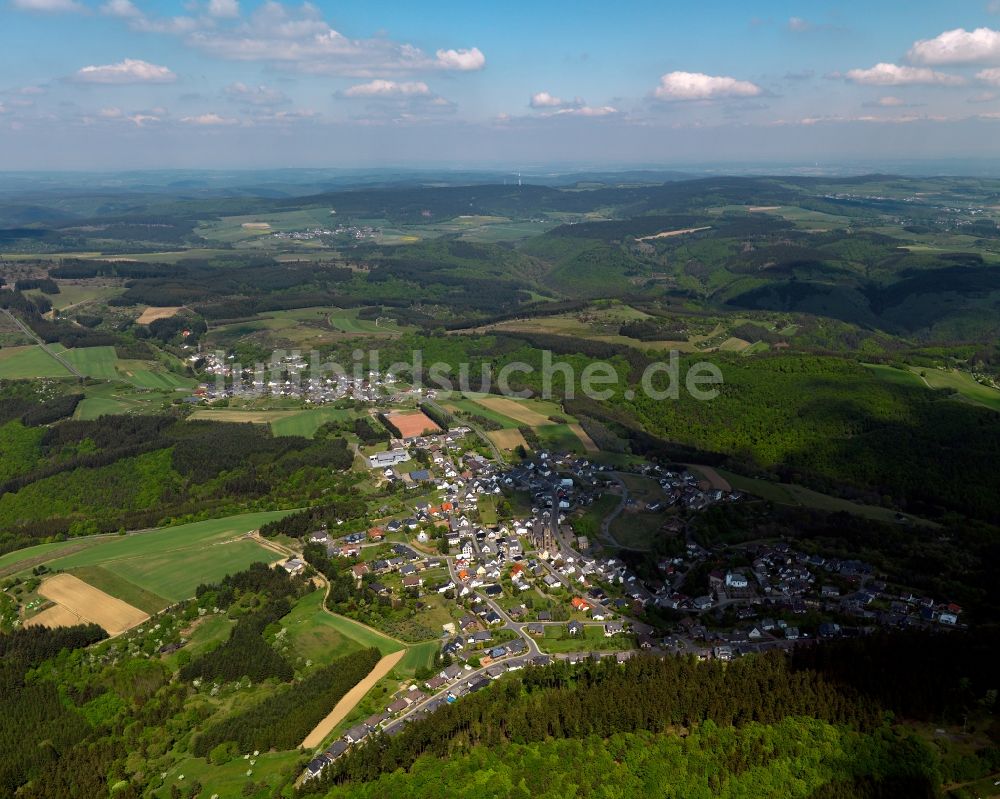 Langenfeld aus der Vogelperspektive: Stadtansicht von Langenfeld im Bundesland Rheinland-Pfalz