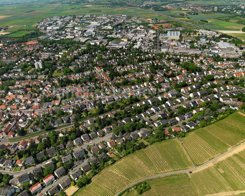 Mainz Hechtsheim von oben - Stadtansicht von Mainz, Ortsteil Hechtsheim, im Bundesland Rheinland-Pfalz