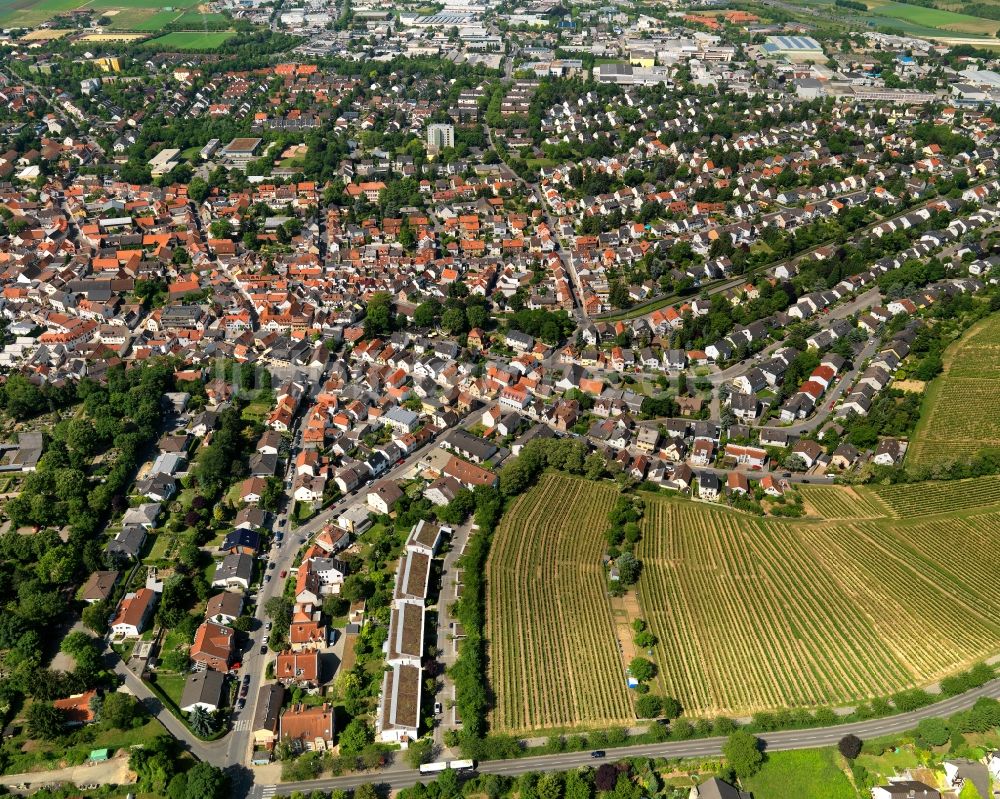 Mainz Hechtsheim aus der Vogelperspektive: Stadtansicht von Mainz, Ortsteil Hechtsheim, im Bundesland Rheinland-Pfalz