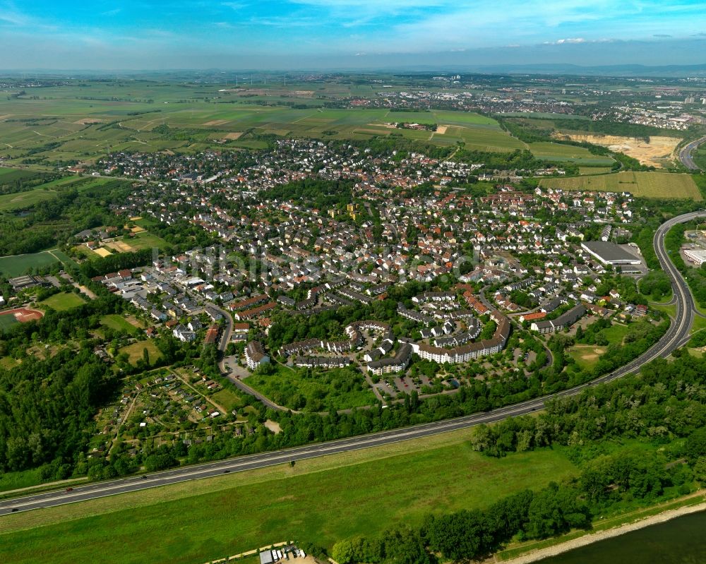 Mainz von oben - Stadtansicht von Mainz, Ortsteil Laubenheim, im Bundesland Rheinland-Pfalz