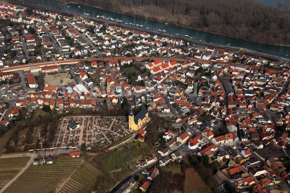 Nackenheim von oben - Stadtansicht von Nackenheim im Bundesland Rheinland-Pfalz