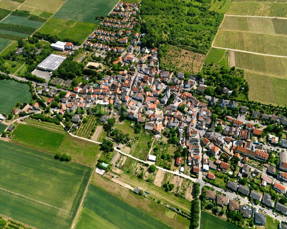 Sörgenloch von oben - Stadtansicht von Sörgenloch im Bundesland Rheinland-Pfalz