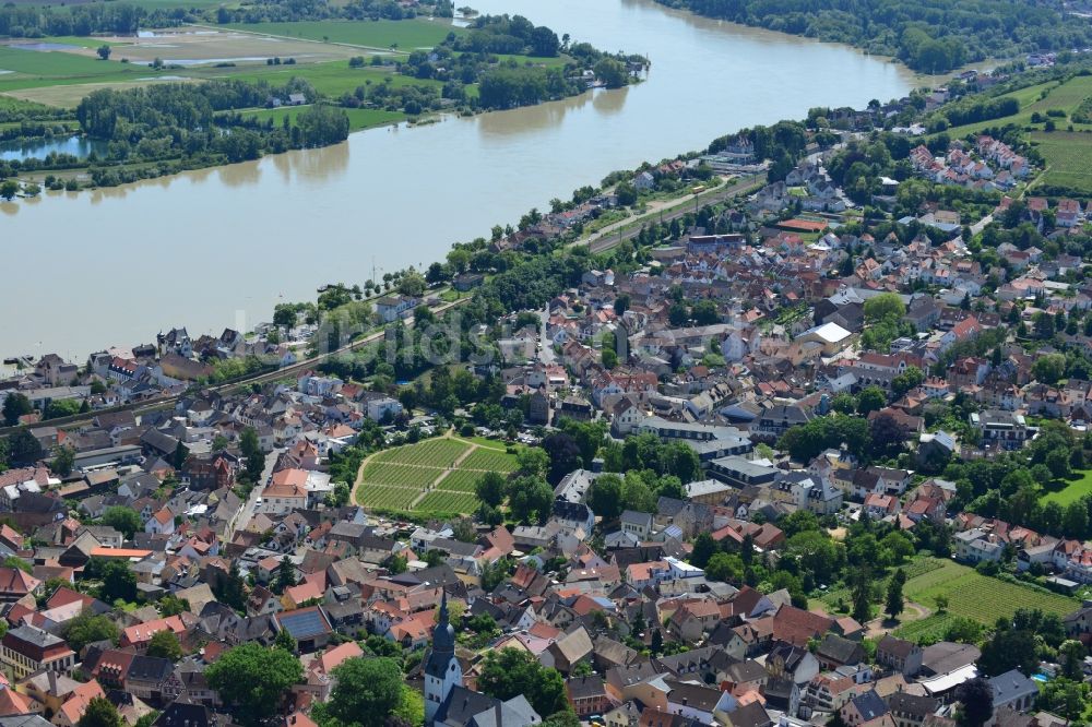 Luftaufnahme Nierstein - Stadtansicht der Stadt Nierstein am Rhein im Bundesland Rheinland-Pfalz 