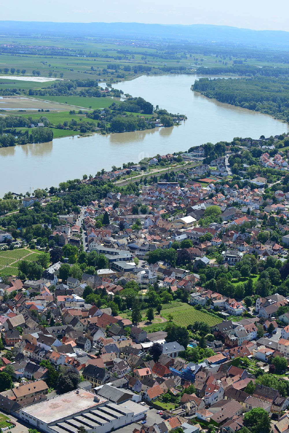 Nierstein von oben - Stadtansicht der Stadt Nierstein am Rhein im Bundesland Rheinland-Pfalz 