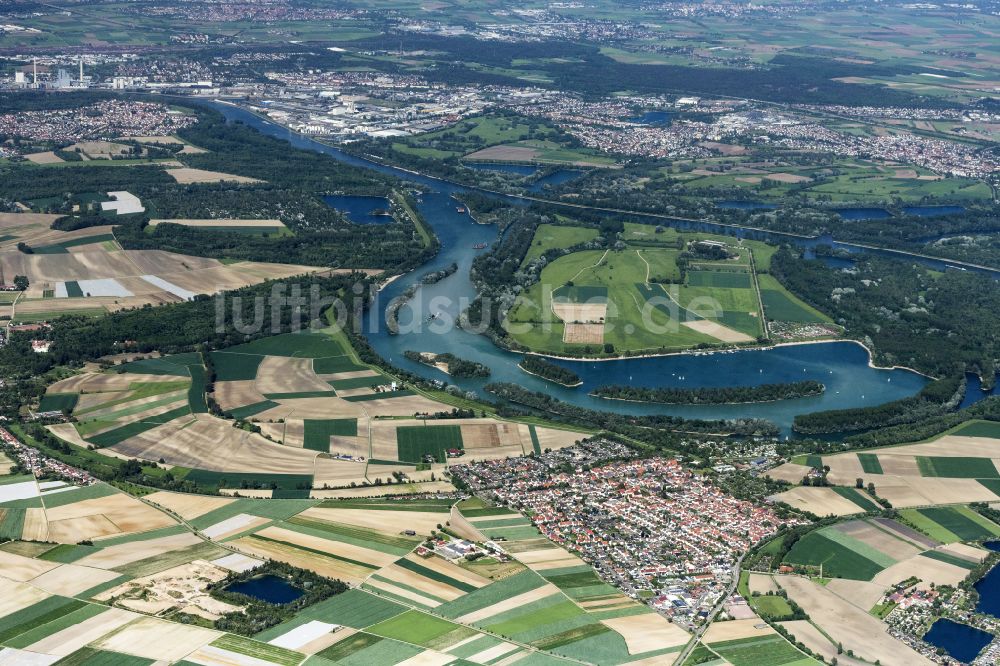 Luftbild Otterstadt - Stadtansicht am Ufer des Flußverlaufes des Rhein in Otterstadt im Bundesland Rheinland-Pfalz, Deutschland