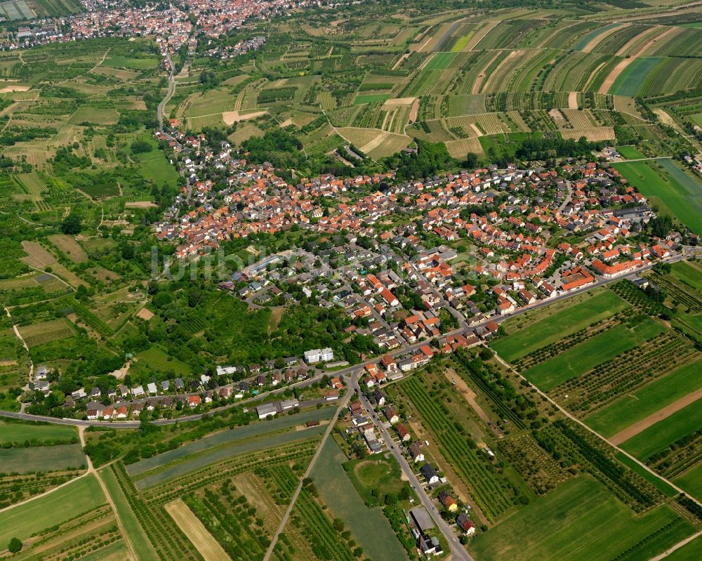 Wackernheim von oben - Stadtansicht von Wackernheim im Bundesland Rheinland-Pfalz