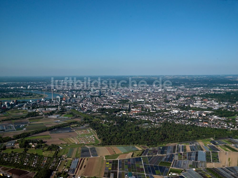 Düsseldorf aus der Vogelperspektive: Stadtansicht vom Zentrum der Stadt Düsseldorf im Bundesland Nordrhein-Westfalen