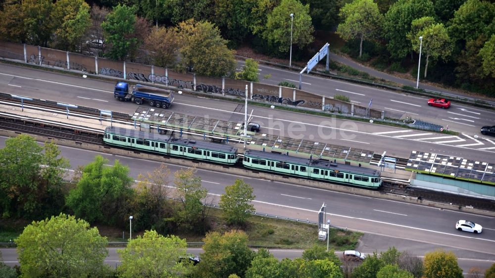 Bonn von oben - Stadtbahnhaltestelle „Rheinaue“ in Bonn im Bundesland Nordrhein-Westfalen, Deutschland