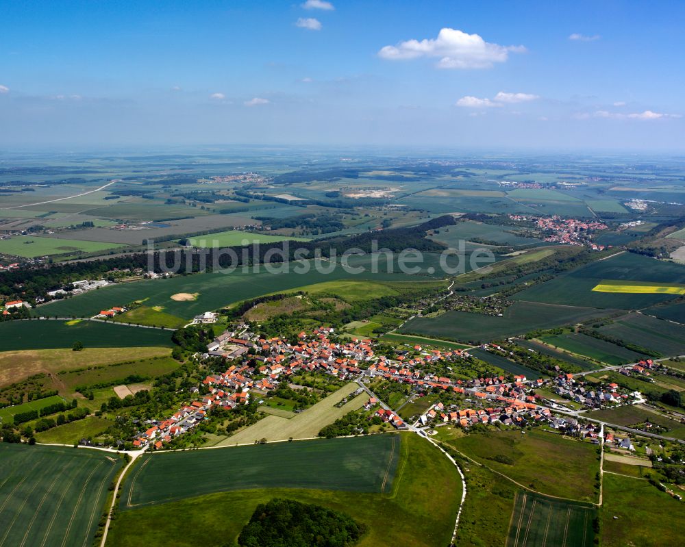 Cattenstedt von oben - Stadtgebiet inmitten der Landwirtschaft in Cattenstedt im Bundesland Sachsen-Anhalt, Deutschland