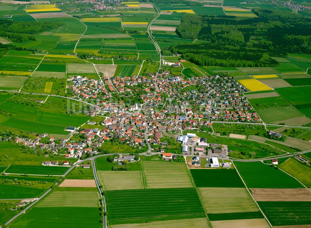 Erbach aus der Vogelperspektive: Stadtgebiet inmitten der Landwirtschaft in Erbach im Bundesland Baden-Württemberg, Deutschland