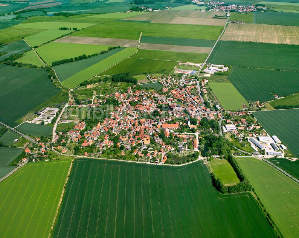 Luftbild Langeln - Stadtgebiet inmitten der Landwirtschaft in Langeln im Bundesland Sachsen-Anhalt, Deutschland