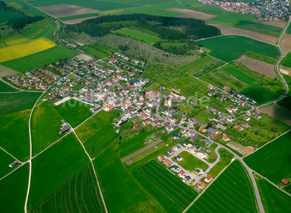 Luftaufnahme Langenau - Stadtgebiet inmitten der Landwirtschaft in Langenau im Bundesland Baden-Württemberg, Deutschland