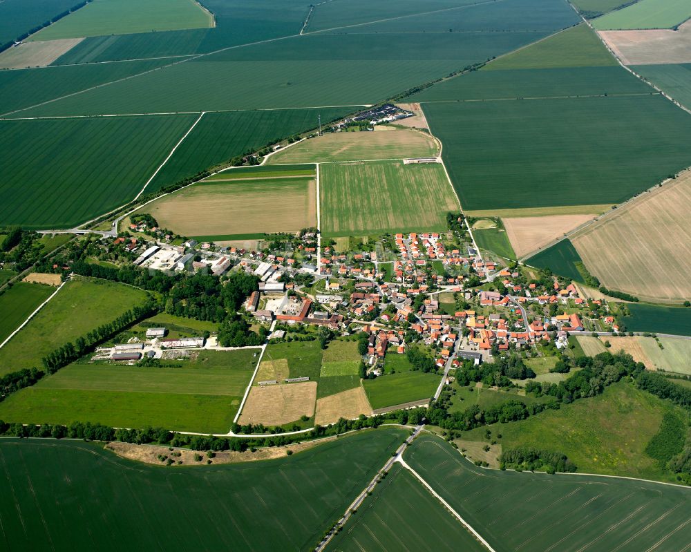 Minsleben von oben - Stadtgebiet inmitten der Landwirtschaft in Minsleben im Bundesland Sachsen-Anhalt, Deutschland