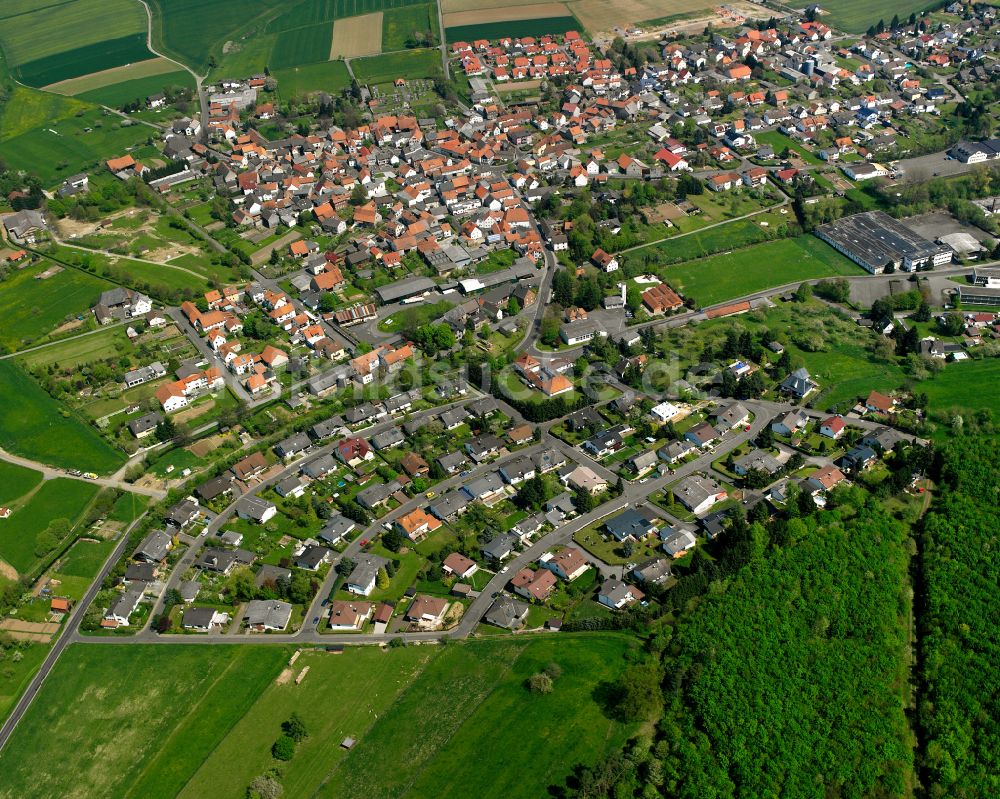 Luftaufnahme Queckborn - Stadtgebiet inmitten der Landwirtschaft in Queckborn im Bundesland Hessen, Deutschland